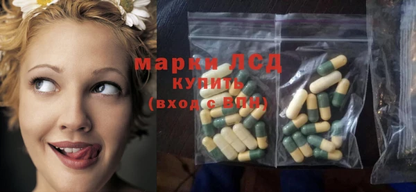 spice Белокуриха