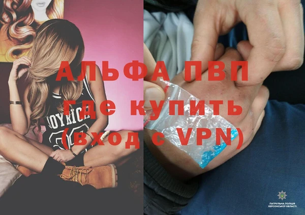 spice Белокуриха