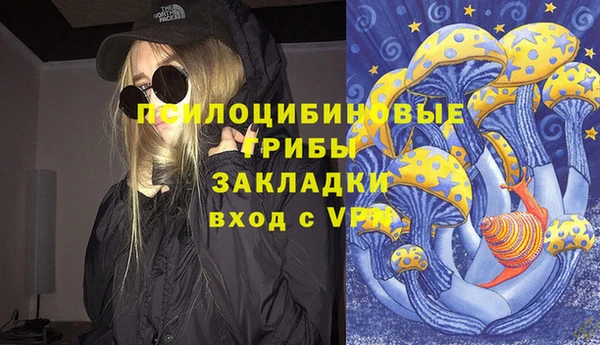 spice Белокуриха