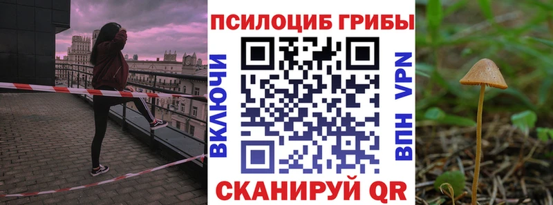 МЕГА ONION Новотитаровская Галлюциногенные грибы GOLDEN TEACHER