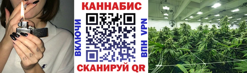 купить наркотик  Новотитаровская  Конопля гибрид 